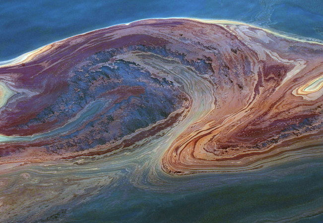 oil-consuming-microbes-decrease-oil-slick-in-the-gulf-of-mexico-at