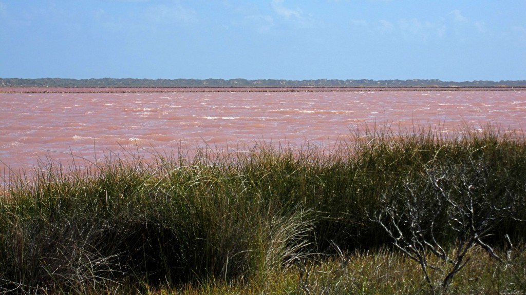 Secluded Lake Hillier Is A Bubble Gum Pink Lake Scientist