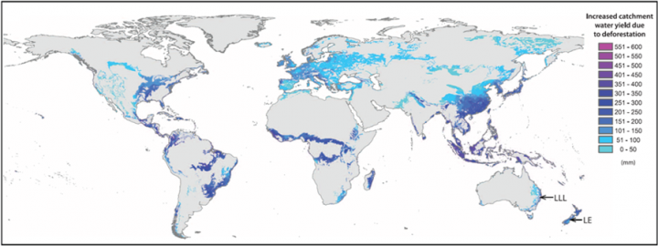 Research Summary: Effect Of Deforestation On Global Wetland Hydrology ...