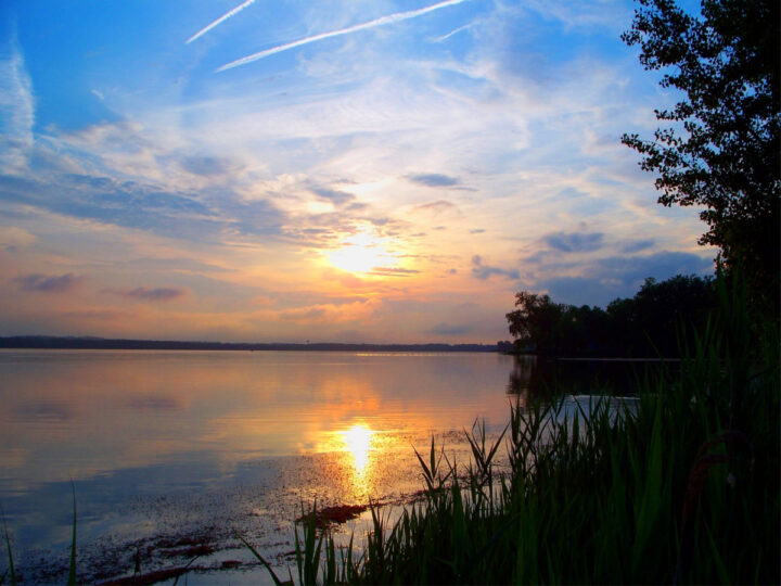 Research Brief: Restoring Onondaga Lake through Reform - Lake Scientist