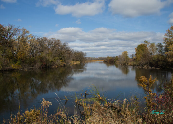 Research Brief: Anthropogenic Drivers of Freshwater Salinization - Lake ...