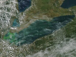 Harmful Algal Bloom in Western part of the Lake Erie Basin on September 25, 2017