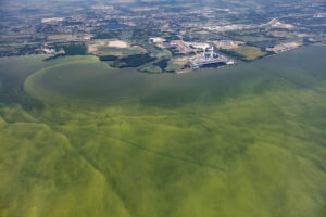 True color photo images of a harmful algal bloom in the Lake Erie basin on August 14, 2017