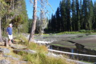A visitor observes the Dream Lake restoration process from the north shore.