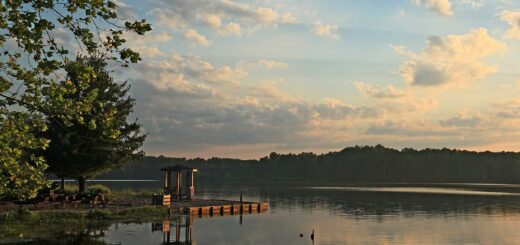 A view of the data assimilation study site: Beaverdam Reservoir in Gloucester, VA near sunset.