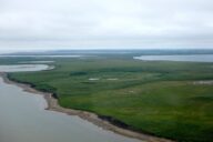 Drained lake bed at Illisarvik seen from helicopter just before installation of a greenhouse gas monitoring system.