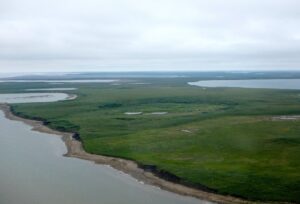 Drained lake bed at Illisarvik seen from helicopter just before installation of a greenhouse gas monitoring system.