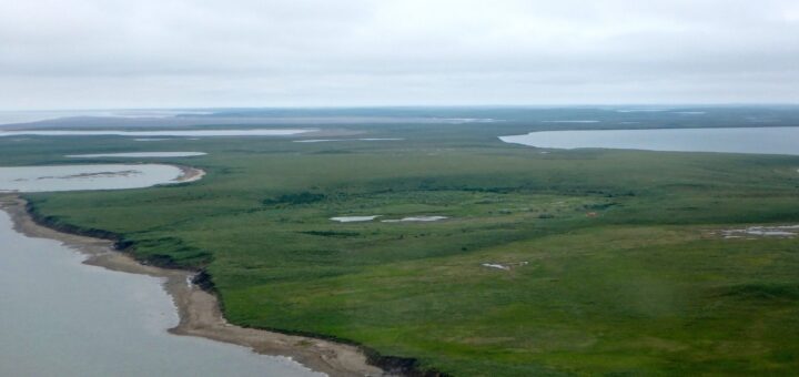 Drained lake bed at Illisarvik seen from helicopter just before installation of a greenhouse gas monitoring system.