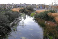 Stormwater management pond located on the south side of False Creek near downtown Vancouver, BC.