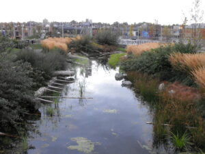 Stormwater management pond located on the south side of False Creek near downtown Vancouver, BC.