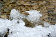 Ice growth in a stream