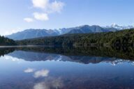 Lake Gault, a dystrophic glacial lake in the hills above Lake Matheson, near the town of Fox Glacier on the West Coast, New Zealand.