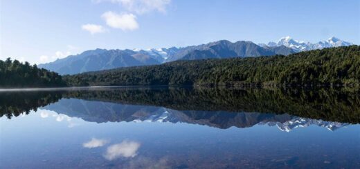 Lake Gault, a dystrophic glacial lake in the hills above Lake Matheson, near the town of Fox Glacier on the West Coast, New Zealand.