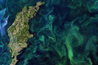 Imagery from the Copernicus Sentinel-2 satellite over the Baltic Sea. green and blue hues depicting algae blooms swirling around the sea.