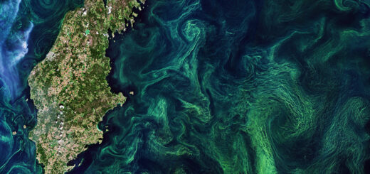 Imagery from the Copernicus Sentinel-2 satellite over the Baltic Sea. green and blue hues depicting algae blooms swirling around the sea.